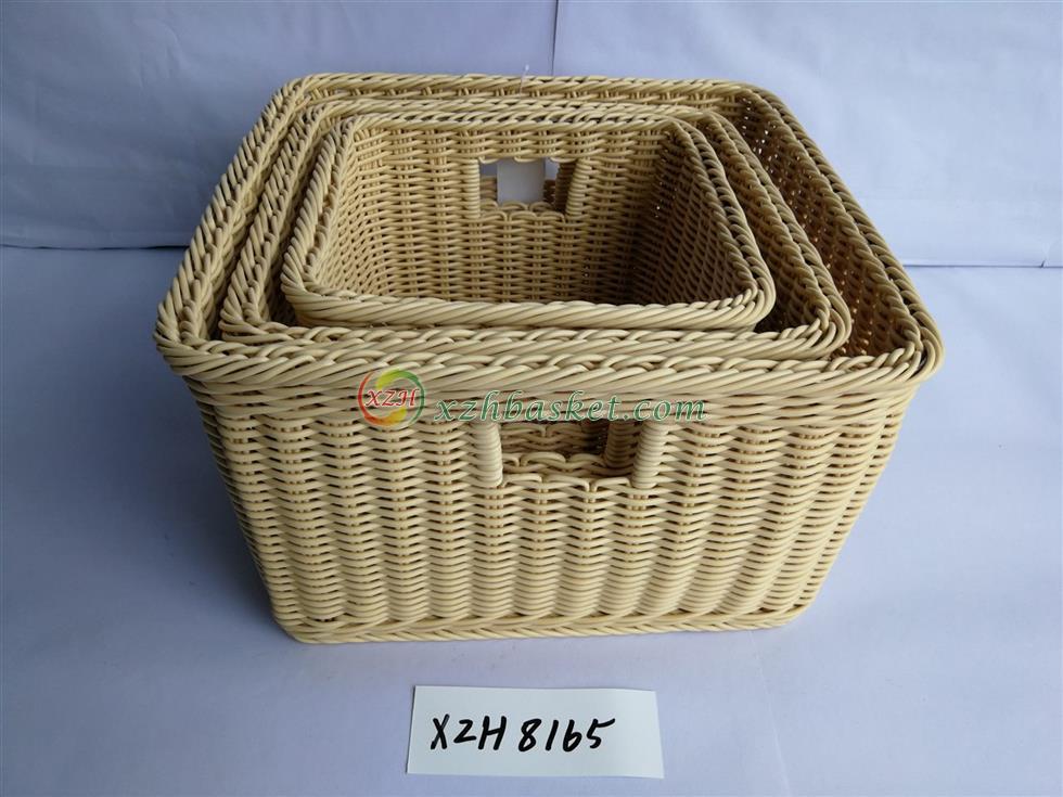 8165.jpg